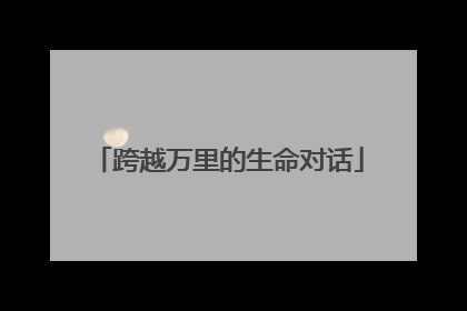 跨越万里的生命对话