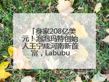 身家208亿美元！泡泡玛特创始人王宁成河南新首富，Labubu热销推涨股价
