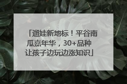 遛娃新地标！平谷南瓜嘉年华，30+品种让孩子边玩边涨知识