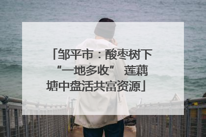 邹平市：酸枣树下“一地多收” 莲藕塘中盘活共富资源
