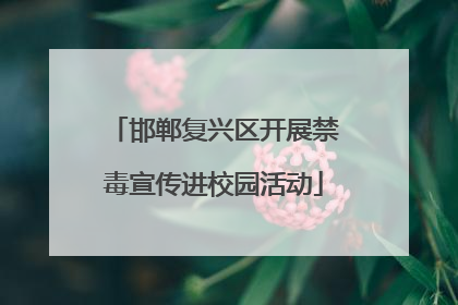 邯郸复兴区开展禁毒宣传进校园活动