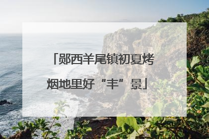 郧西羊尾镇初夏烤烟地里好“丰”景