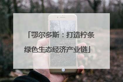 鄂尔多斯：打造柠条绿色生态经济产业链