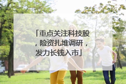 重点关注科技股，险资扎堆调研，发力长钱入市