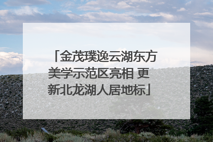 金茂璞逸云湖东方美学示范区亮相 更新北龙湖人居地标