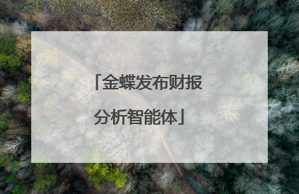 金蝶发布财报分析智能体