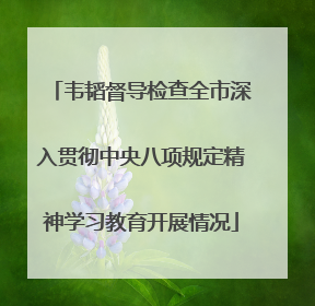 韦韬督导检查全市深入贯彻中央八项规定精神学习教育开展情况
