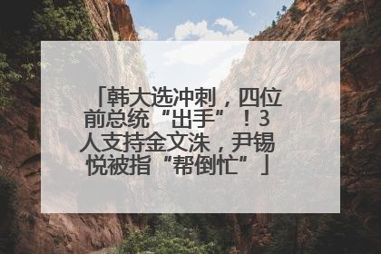 韩大选冲刺，四位前总统“出手”！3人支持金文洙，尹锡悦被指“帮倒忙”