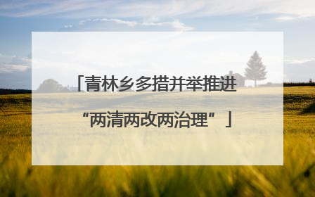 青林乡多措并举推进“两清两改两治理”