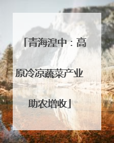 青海湟中：高原冷凉蔬菜产业助农增收