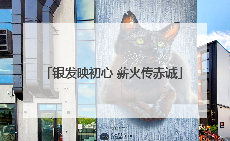 银发映初心 薪火传赤诚