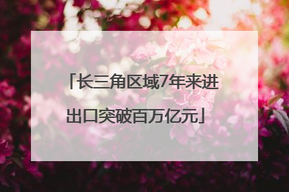 长三角区域7年来进出口突破百万亿元