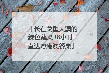 长在戈壁大漠的绿色蔬菜38小时直达粤港澳餐桌