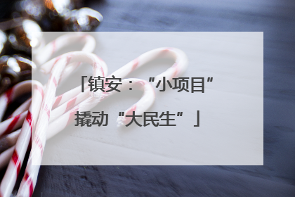 镇安：“小项目”撬动“大民生”