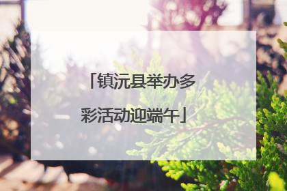 镇沅县举办多彩活动迎端午