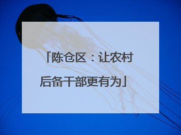 陈仓区：让农村后备干部更有为