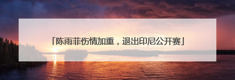 陈雨菲伤情加重，退出印尼公开赛