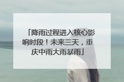 降雨过程进入核心影响时段！未来三天，重庆中雨大雨暴雨
