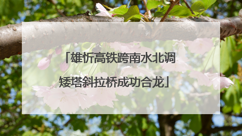 雄忻高铁跨南水北调矮塔斜拉桥成功合龙