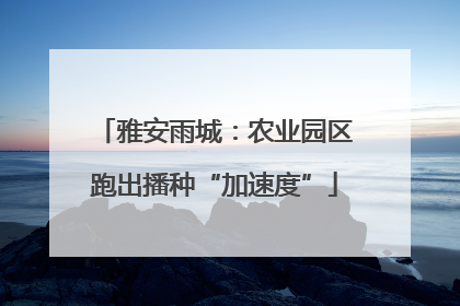 雅安雨城：农业园区跑出播种“加速度”