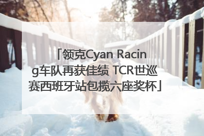 领克Cyan Racing车队再获佳绩 TCR世巡赛西班牙站包揽六座奖杯