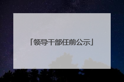 领导干部任前公示