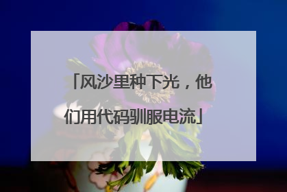 风沙里种下光，他们用代码驯服电流