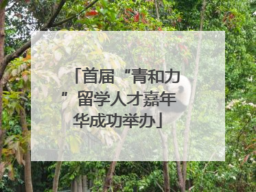 首届“青和力”留学人才嘉年华成功举办