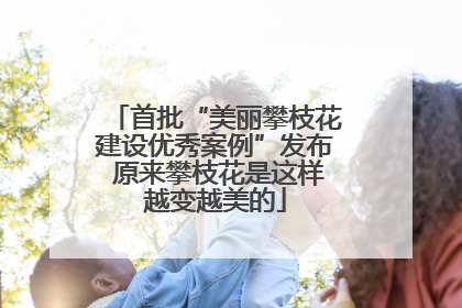 首批“美丽攀枝花建设优秀案例”发布 原来攀枝花是这样越变越美的