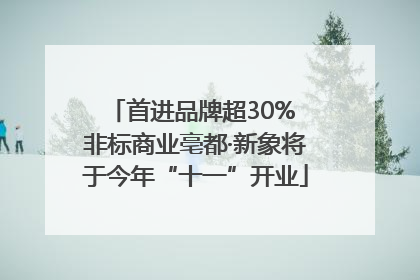 首进品牌超30% 非标商业亳都·新象将于今年“十一”开业