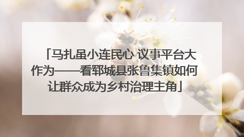 马扎虽小连民心 议事平台大作为——看郓城县张鲁集镇如何让群众成为乡村治理主角