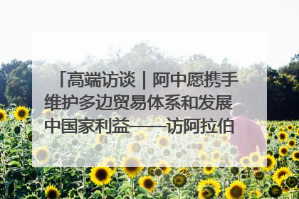 高端访谈｜阿中愿携手维护多边贸易体系和发展中国家利益——访阿拉伯议会议长亚马希