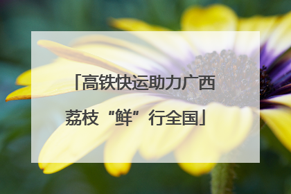 高铁快运助力广西荔枝“鲜”行全国