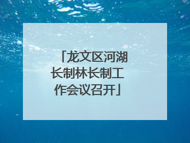 龙文区河湖长制林长制工作会议召开
