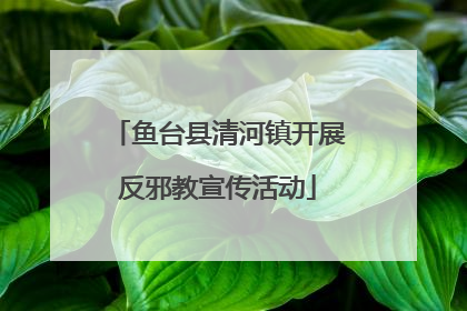 鱼台县清河镇开展反邪教宣传活动