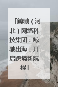 鲸驰（河北）网络科技集团：鲸驰出海，开启跨境新航程