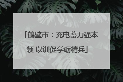 鹤壁市：充电蓄力强本领 以训促学砺精兵