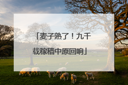 麦子熟了！九千载稼穑中原回响