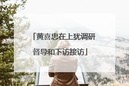 黄喜忠在上犹调研督导和下访接访