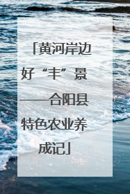 黄河岸边好“丰”景——合阳县特色农业养成记
