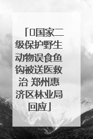 ﻿国家二级保护野生动物误食鱼钩被送医救治 郑州惠济区林业局回应