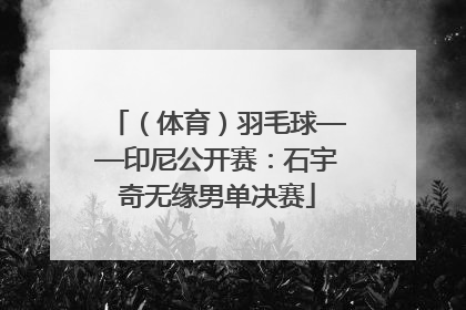 （体育）羽毛球——印尼公开赛：石宇奇无缘男单决赛