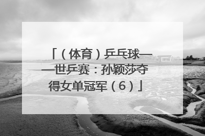 （体育）乒乓球——世乒赛：孙颖莎夺得女单冠军（6）