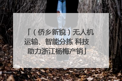 （侨乡新貌）无人机运输、智能分拣 科技助力浙江杨梅产销