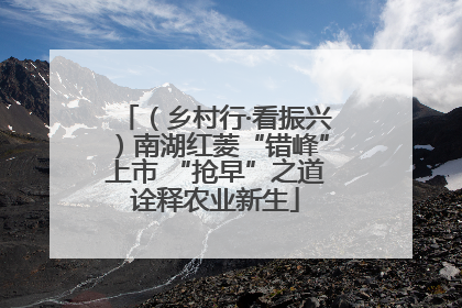 （乡村行·看振兴）南湖红菱“错峰”上市 “抢早”之道诠释农业新生