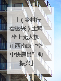 （乡村行·看振兴）土鸡坐上无人机 江西南康“空中快递员”助振兴