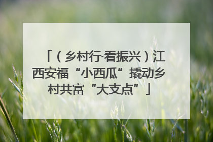 （乡村行·看振兴）江西安福“小西瓜”撬动乡村共富“大支点”