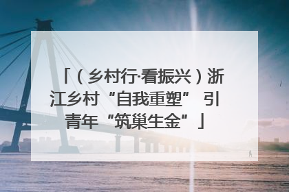 （乡村行·看振兴）浙江乡村“自我重塑” 引青年“筑巢生金”