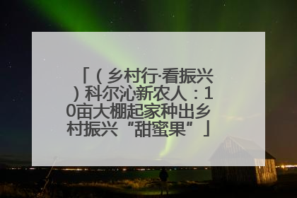 （乡村行·看振兴）科尔沁新农人：10亩大棚起家种出乡村振兴“甜蜜果”