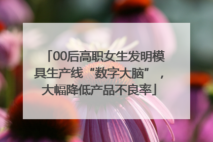 00后高职女生发明模具生产线“数字大脑”，大幅降低产品不良率